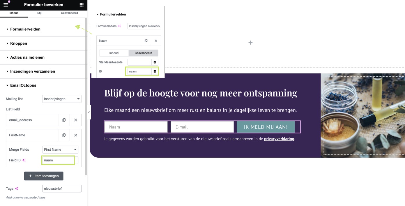 formulieren koppelen met Email Octopus