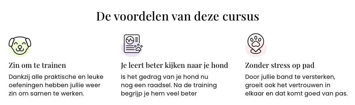 Voordelen van een coach voor honden